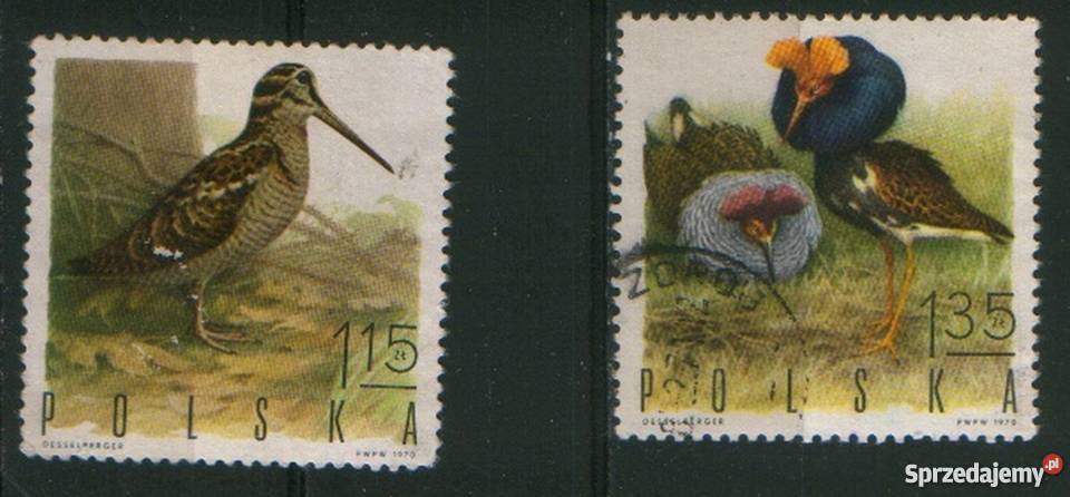 Zn Fi 1843 4 kas 1970 Gliwice