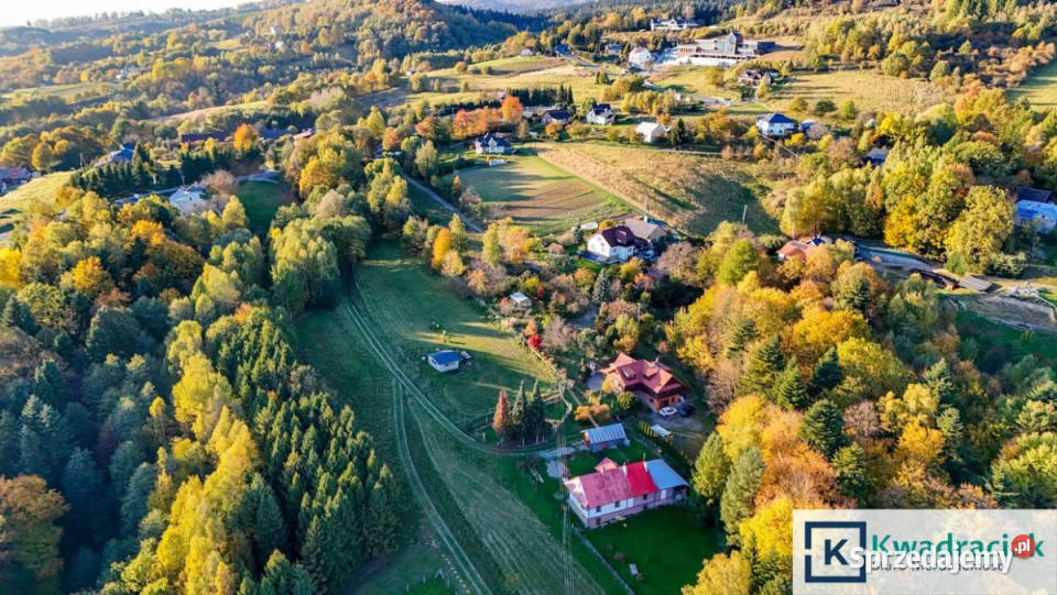 Ogłoszenie działka 1200m2 Korczyna 100zł/m2