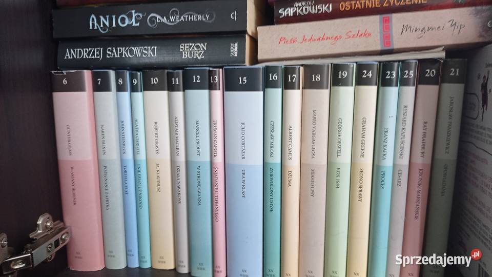 Zestaw książek i albumów dodatki kolekcjonera Antyki, Sztuka, Kolekcje Częstochowa