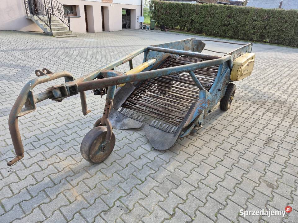 Kopaczka elewatorowa do ziemniaków Kowale sprzedam