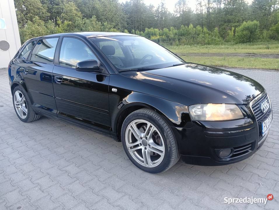 Sprzedam Audi A3 8P benzyna A3 Paniewo
