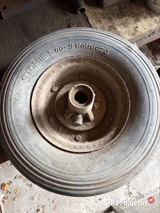 Koło opolskie Brzeg