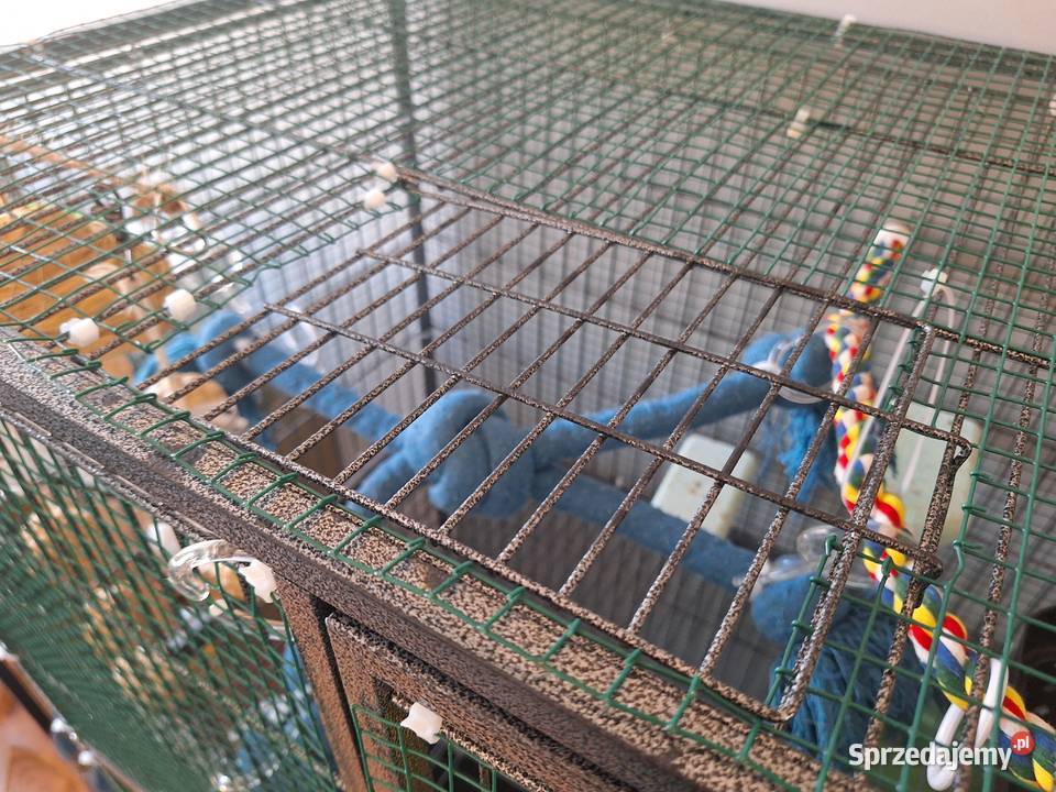 Klatka Yaheetech z podstawowym wyposażeniem Białystok