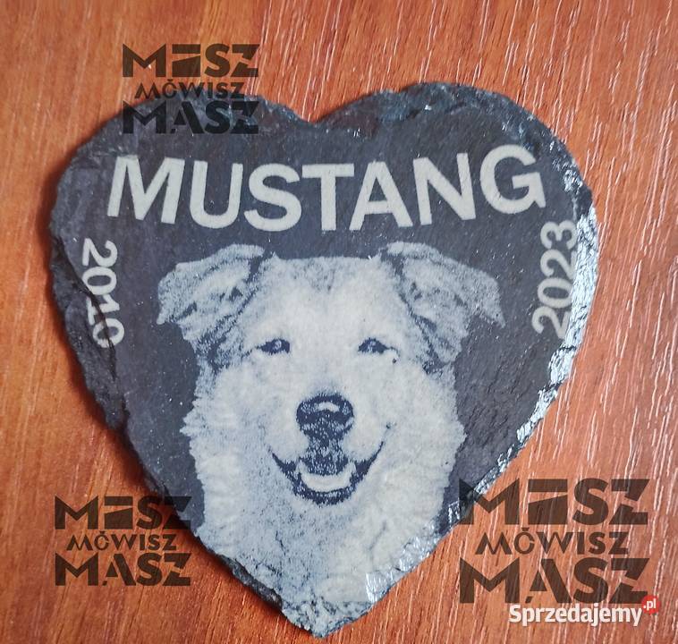 Tabliczka pamiątkowa zwierzaka z fotograwerem wielkopolskie Racot