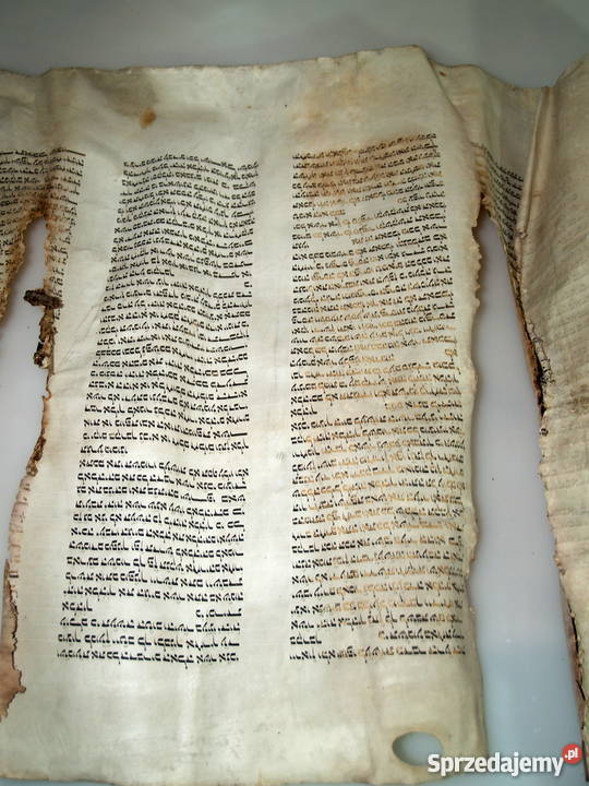 Dziewiętnastowieczna tora na pergaminie Tarnów