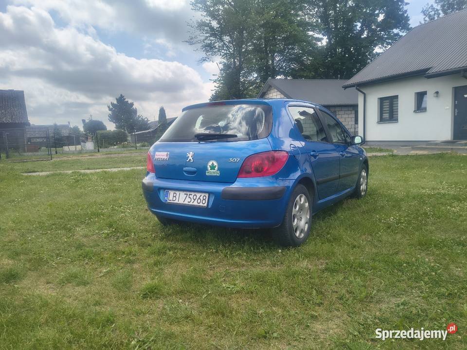 Peugeot 307 lubelskie