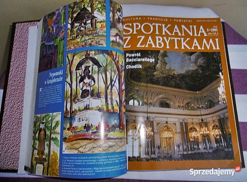 Spotkania z zabytkami oprawiony rocznik 2001 wielkopolskie Ostrów Wielkopolski
