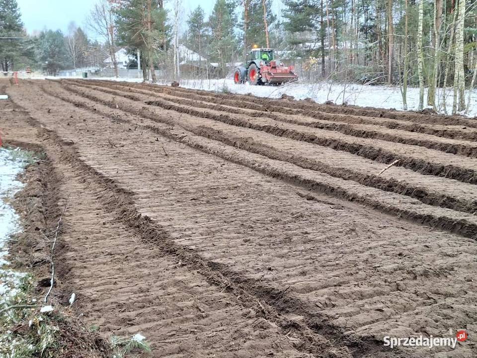 Wycinka drzew Czyszczenie działek Mulczowanie Tychy ogród