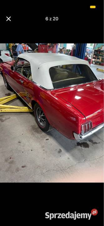 Ford mustang 1966 Mustang Olsztyn