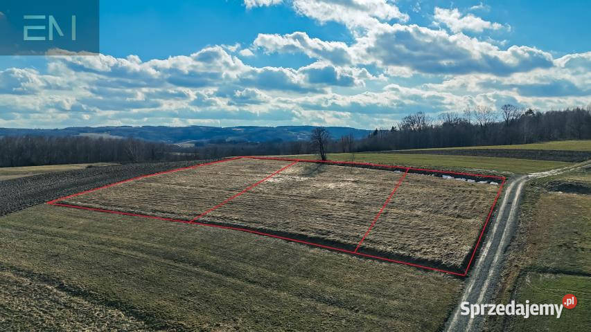 sprzedaży działki Czudec 1300m2
