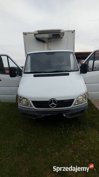 Mercedes Sprinter 313 CDI ChłodniaKontener Skołyszyn