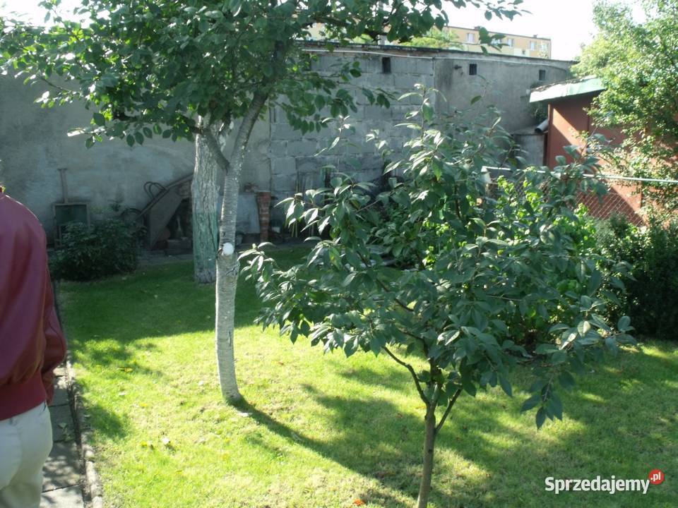 Sprzedam dzialke rekreacyjna ROD Zacisze