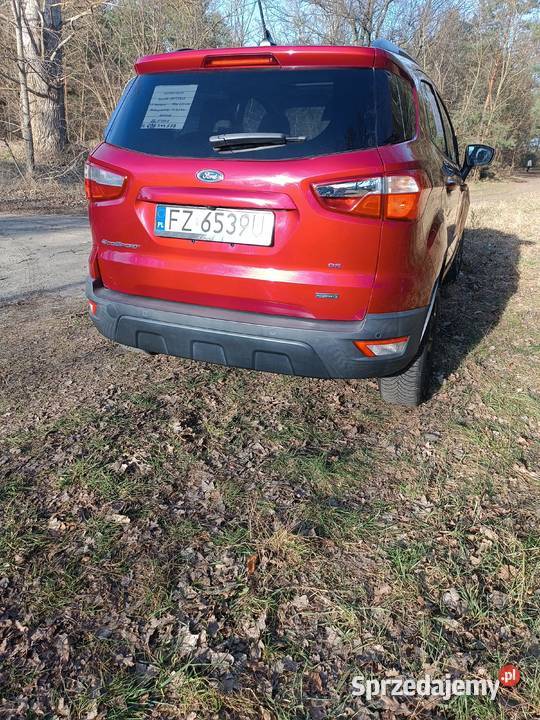 Ford Ecosport 10 125 Automat mały przebie benzyna Zielona Góra sprzedam
