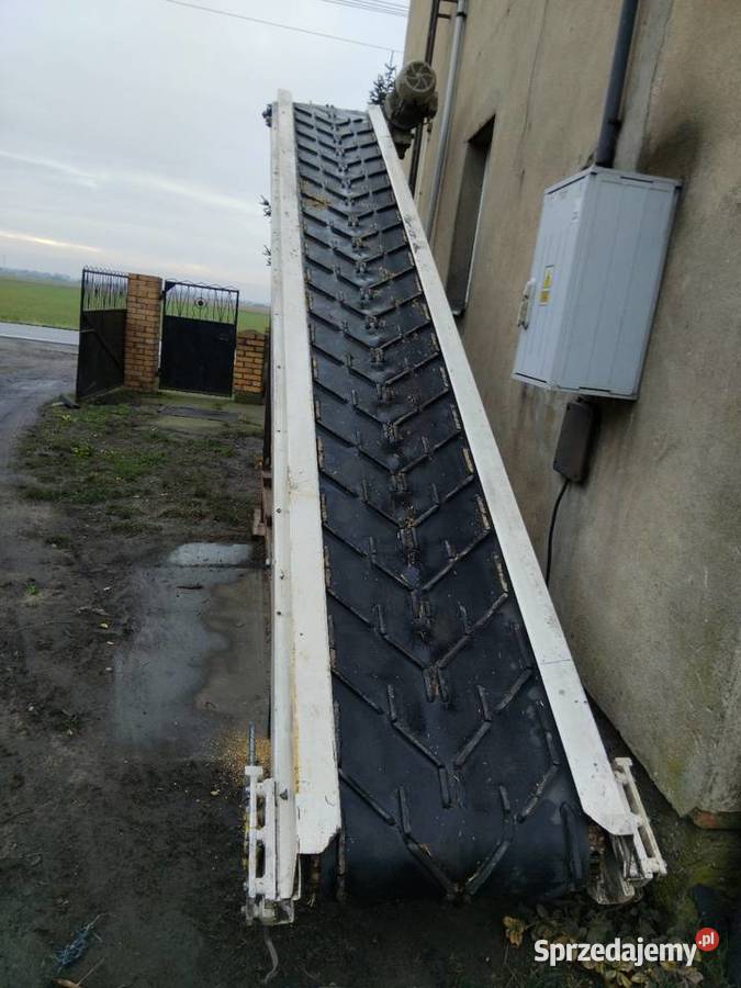 Taszmociag 5 metrówy Pozostałe wielkopolskie Michorzewo