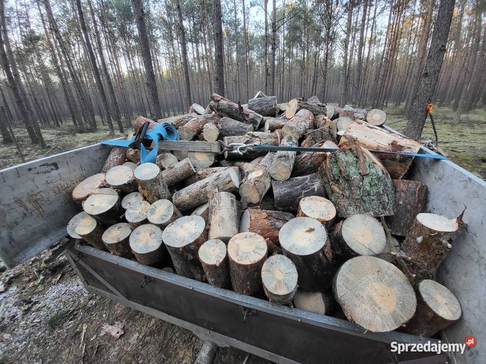 SUCHE drewno opalowe kominkowe sosna Zagórów