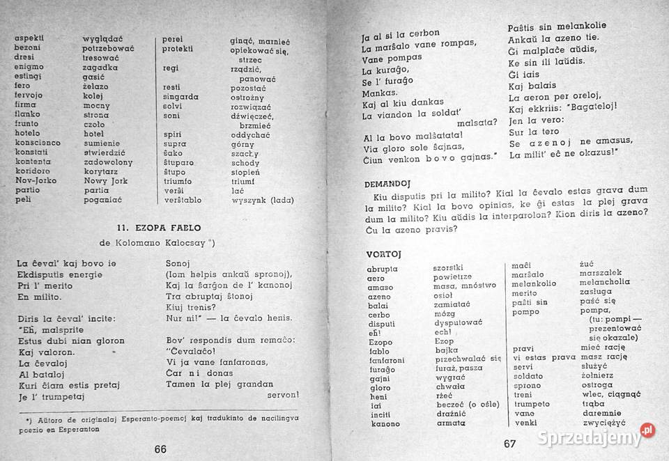 1000 słów języka esperanto Edmund i Jan Fethke Pozostałe Chełm sprzedam