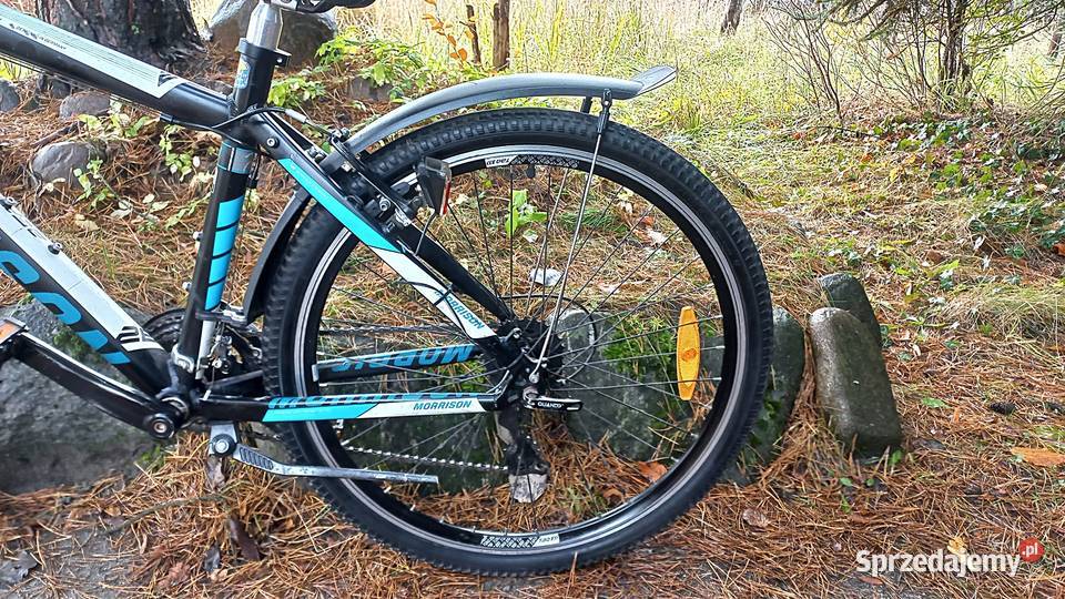 Alu Rower Górski Atb Młodzieżowy Morrison Beaver Wołów sprzedam