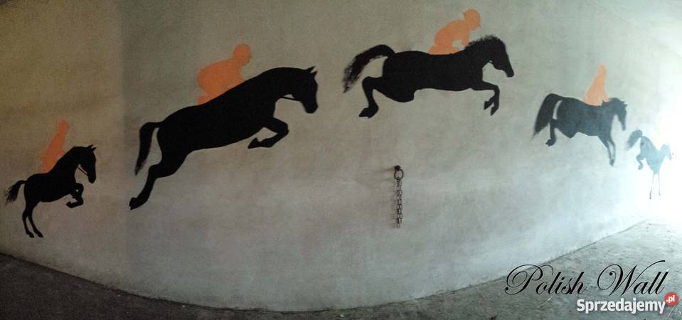 Artystyczne malowanie ścian Poznań