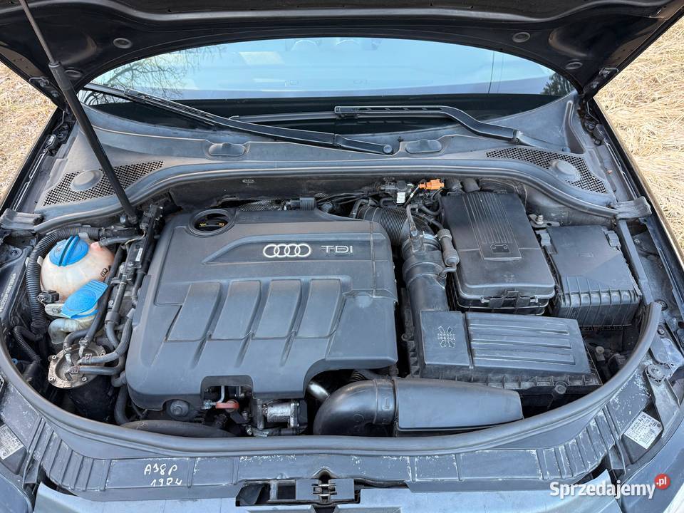 Audi A3 8P 2009r 20 TDI CR 261600km Motoryzacja Turek