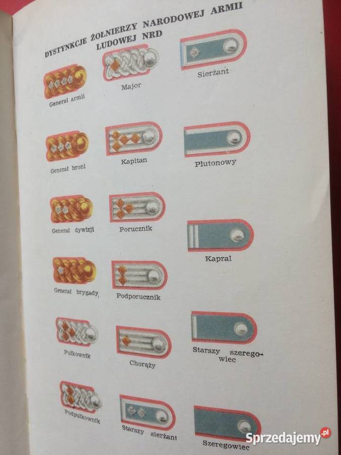 3257 Armie Ludowe Szczecin