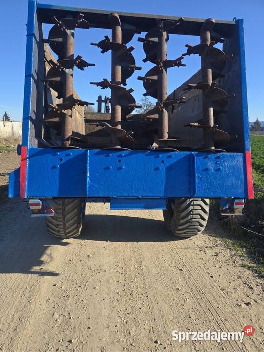 Rozrzutnik Rolland pomorskie Ględowo