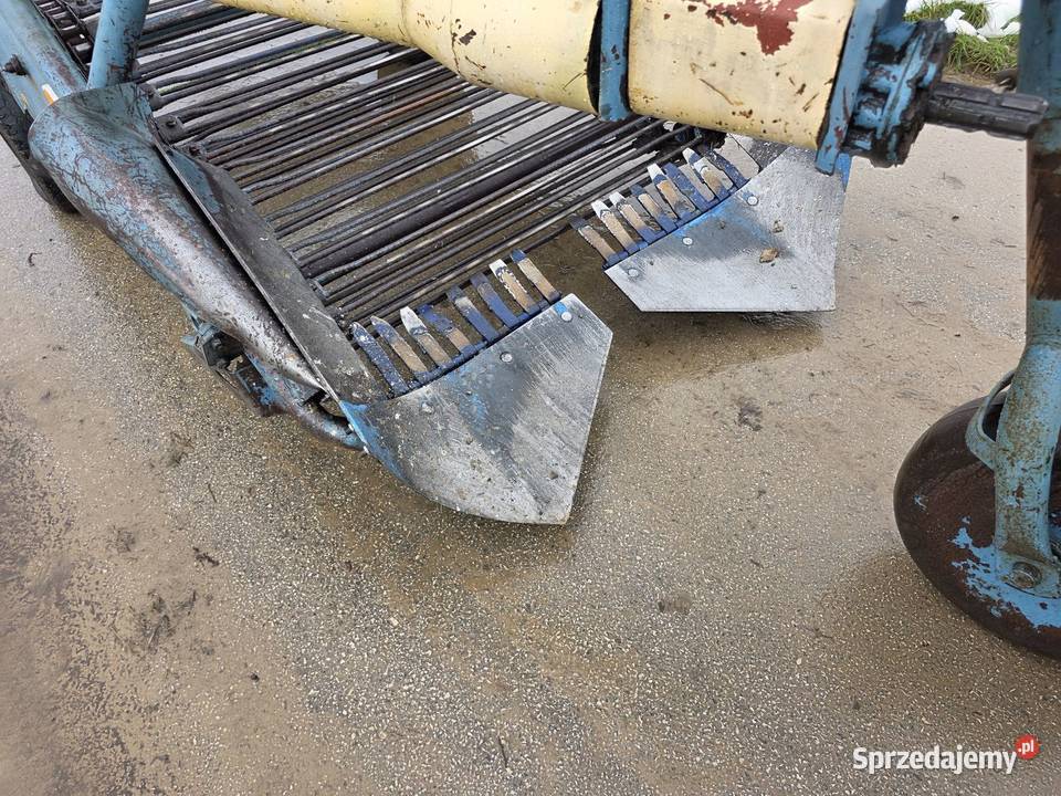 Kopaczka elewatorowa dwurzedowa do ziemniakow Samborzec