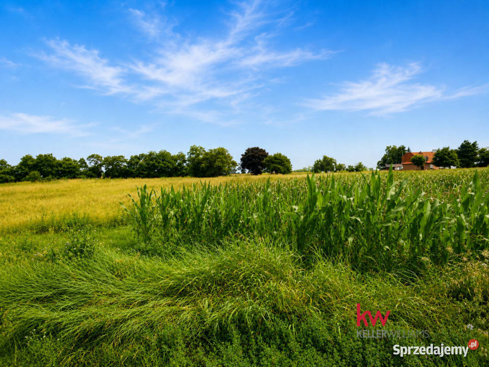 sprzedaży domu bliźniaka 526m2 Grabowiec wielkopolskie