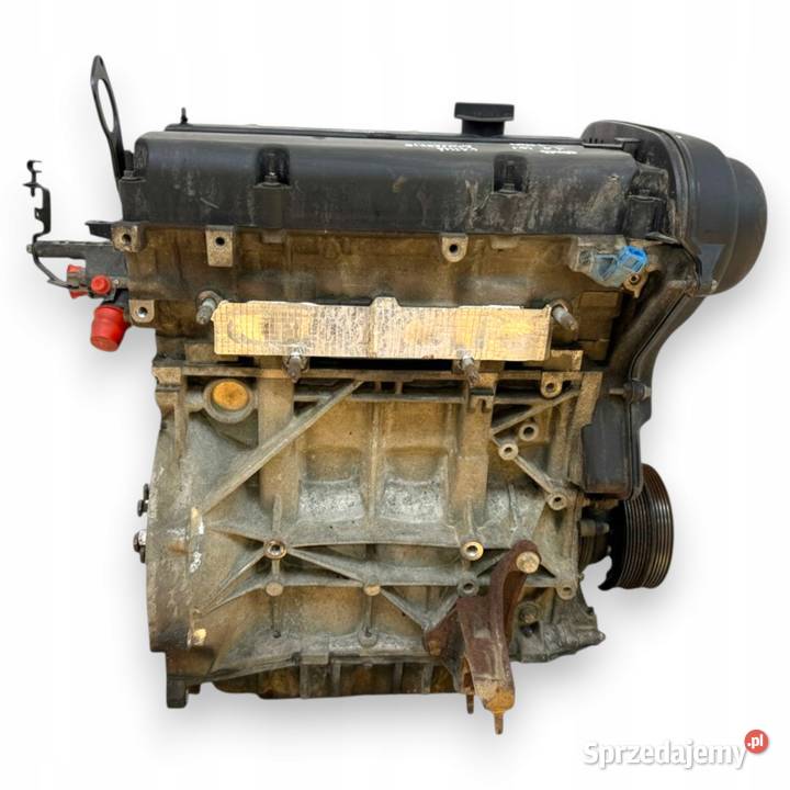 SILNIK SHDA Ford Focus II MK2 C C 16 16V 100 Chełm