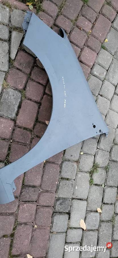 Błotnik lewy przód Renault Clio III 3 Wodzisław Śląski