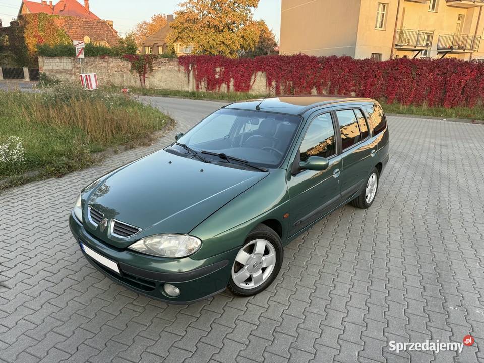 Renault Megane I Grandtour 2002 19 dCi 102 Rok produkcji 2002 Tarnowskie Góry