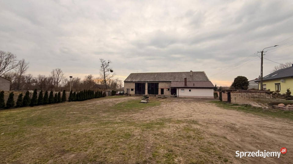 Na sprzedaż siedlisko Ratyń 3ha Warty