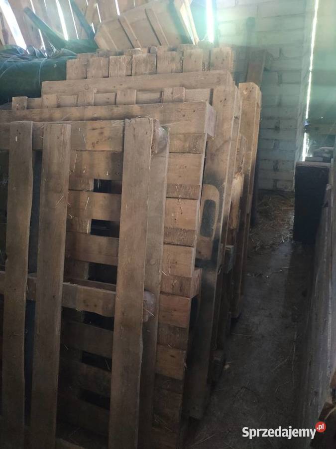 Palety drewniane Drużbice