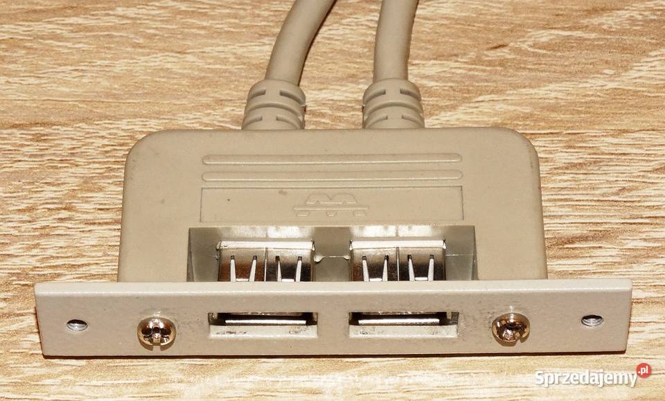 Zaślepka do obudowy z 2 gniazdami USB A i śląskie