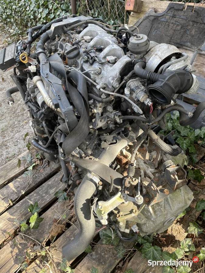 Silnik Toyota Avensis RAV4 D4D Silniki kompletne Łuszczacz sprzedam