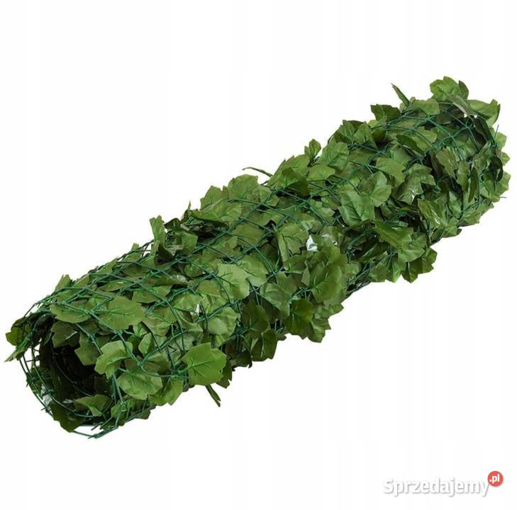 Sztuczny bluszcz żywopłot 150 x 240 Ostrowiec Świętokrzyski