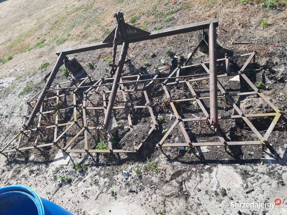 Brony trójki polowe Grabów nad Pilicą