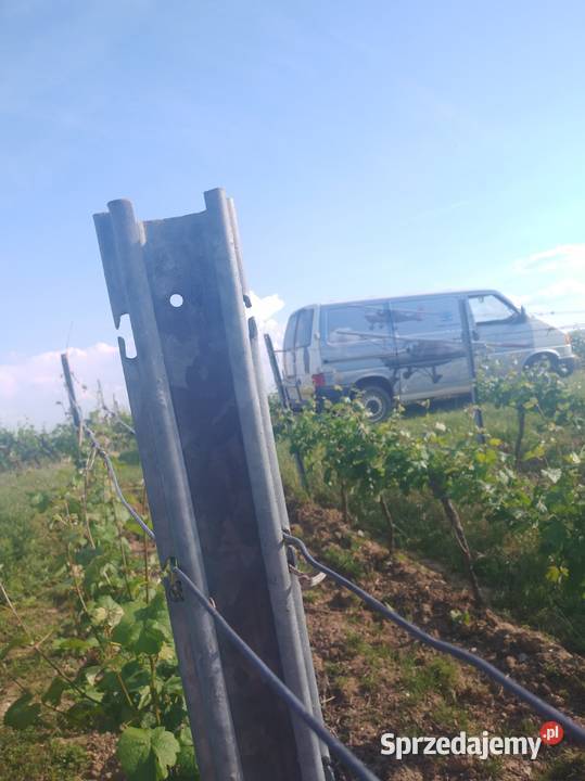 Słupki metalowe do malin ogrodu winnicy Łódź