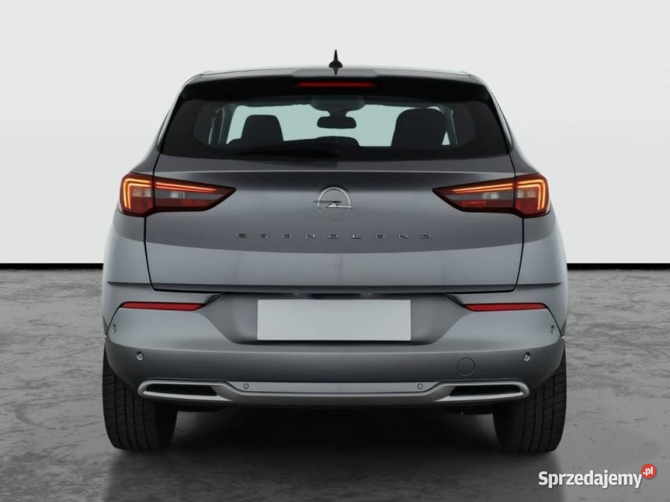 Opel Grandland 12 Turbo elektryczne lusterka śląskie Katowice
