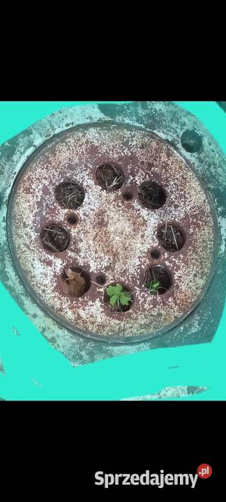 Obciazenie obciążniki koła tył ursus c330