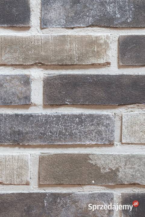 Płytki ceglane Zagłębie Ruhry 2820 Warszawa