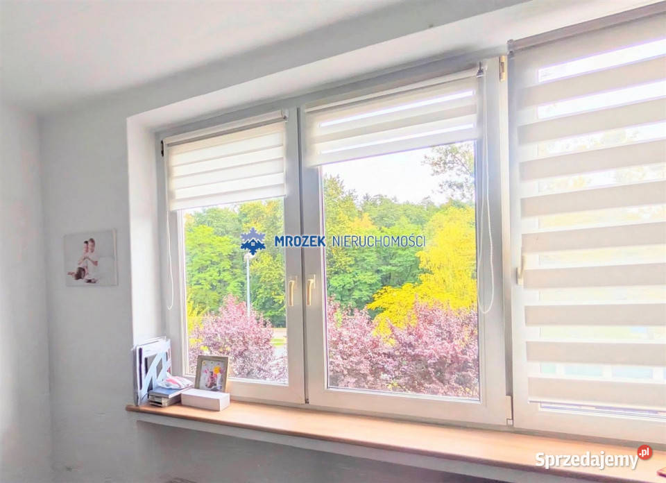 Do sprzedaży mieszkanie JastrzębieZdrój 44 metry śląskie Jastrzębie-Zdrój