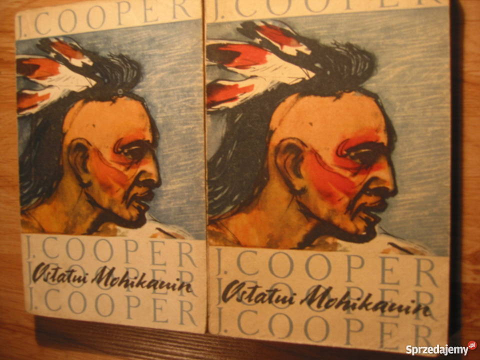 Książki młodzierzy złotówkę sztuki Gliwice