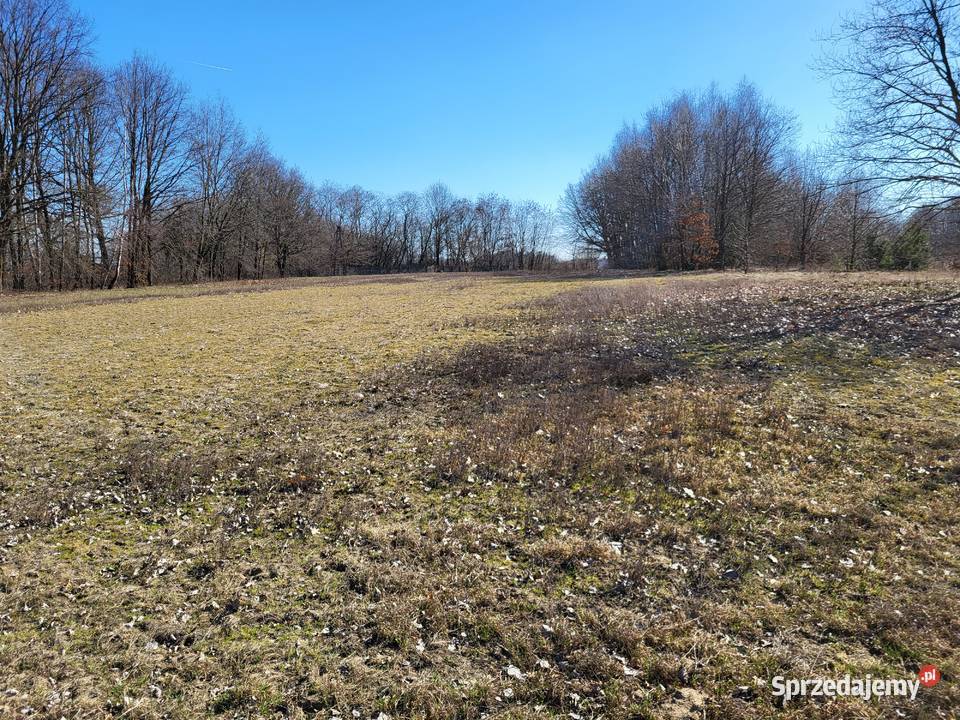 Działka budowlana 5400 m2 7 Gmina Konopnica wieś 38m łódzkie sprzedam