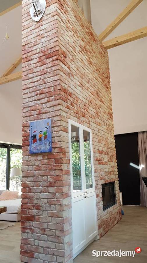 Lico ceglane Plytki ceglane Stara cegla na Płytki ścienne Tarnobrzeg