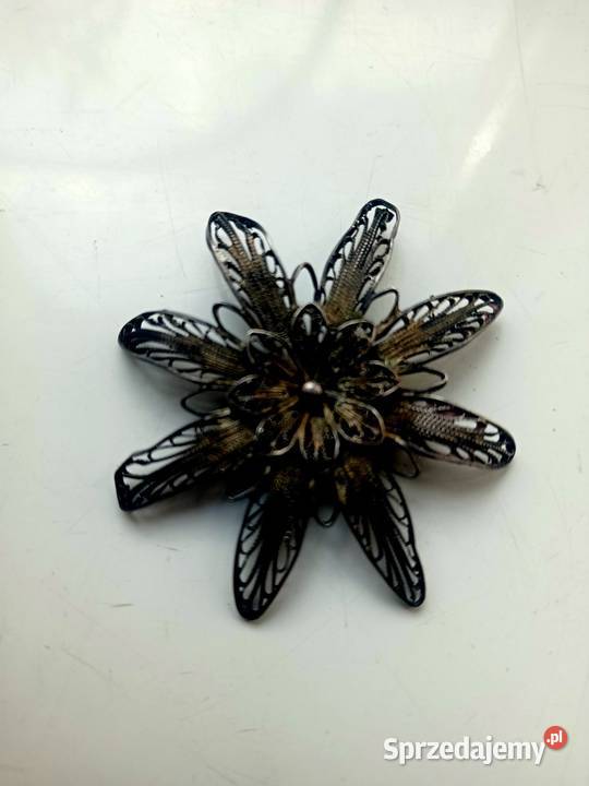 Broszka Imago Artis wielkopolskie