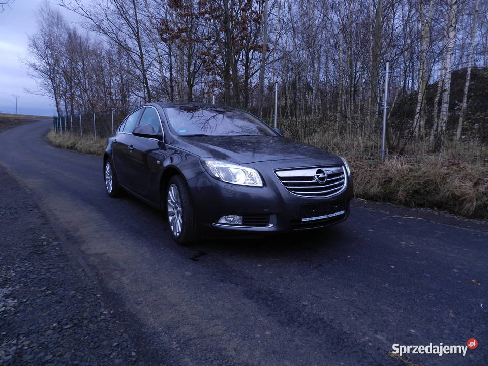 Opel Isignia 20 CDTi Cosmo Elite 2009 Gryfów Śląski