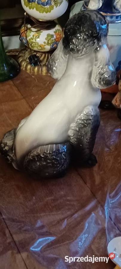 ceramika figura Pudla wysok 37 podstawa do ogona Poznań