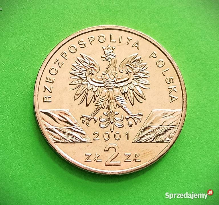 2 2001 r Paź Królowej Wrocław