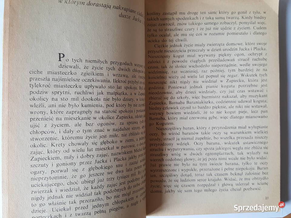 Powieść młodzieży O DWÓCH TAKICH CO UKRADLI Książki dla dzieci Złotniki