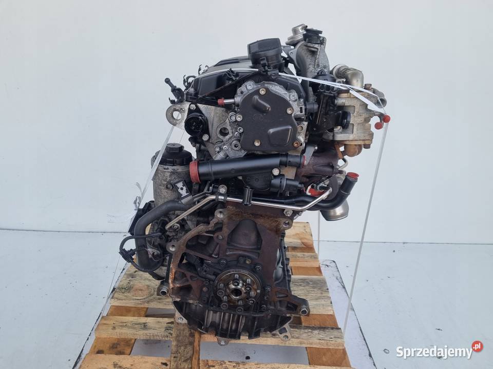 SILNIK KOMPLET Audi A3 II 8P 19 TDI 105 ładnie Silniki kompletne Janów sprzedam